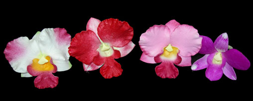 Orchid Flower Pick/Corsage